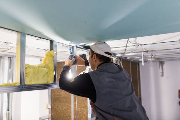 Best Eco-Friendly Insulation in Carthage, MS