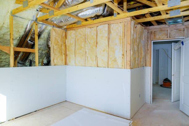 Best Commercial Insulation in Carthage, MS