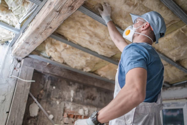 Best Spray Foam Insulation in Carthage, MS