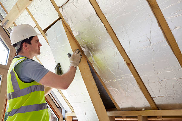 Types of Insulation We Offer in Carthage, MS